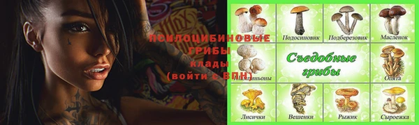 прущий лед Алексин