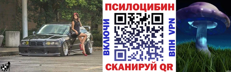 Галлюциногенные грибы Psilocybe  Кондопога 