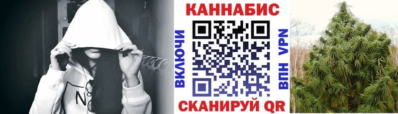 это как зайти  Кондопога  Каннабис индика 